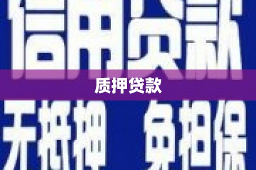 屯溪质押贷款