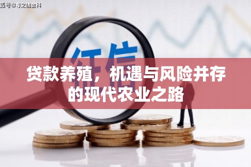 屯溪贷款养殖，机遇与风险并存的现代农业之路