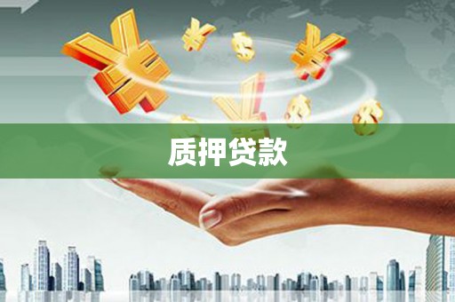 屯溪质押贷款