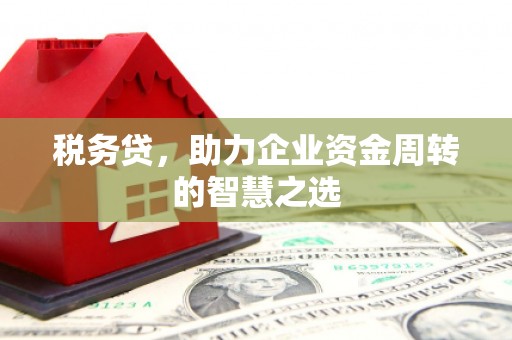 屯溪税务贷，助力企业资金周转的智慧之选