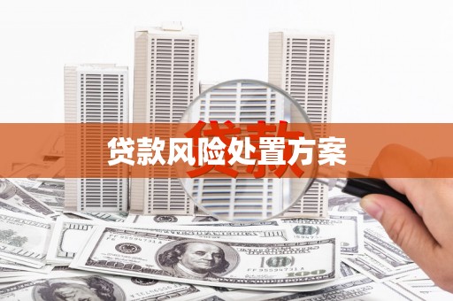 屯溪贷款风险处置方案