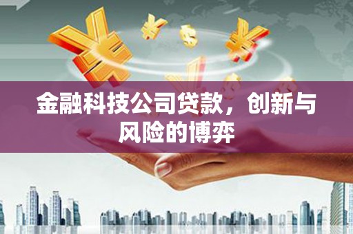 屯溪金融科技公司贷款，创新与风险的博弈
