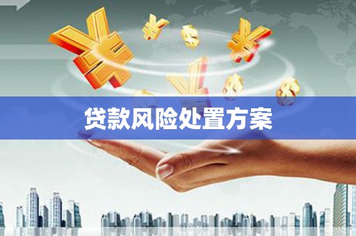 屯溪贷款风险处置方案