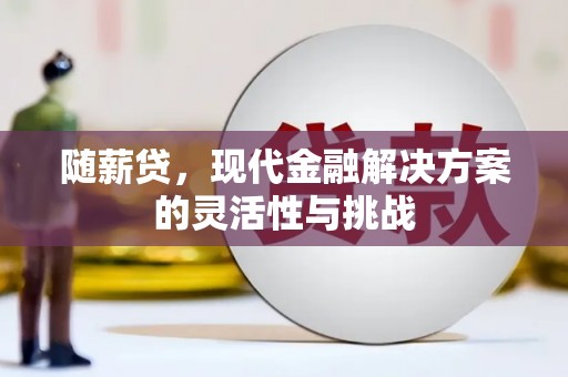 屯溪随薪贷，现代金融解决方案的灵活性与挑战
