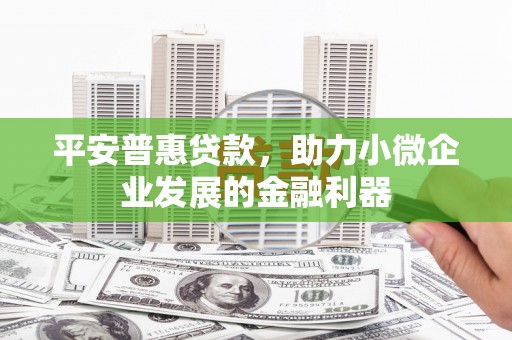 屯溪平安普惠贷款，助力小微企业发展的金融利器