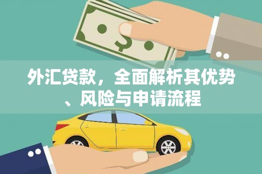 屯溪外汇贷款，全面解析其优势、风险与申请流程