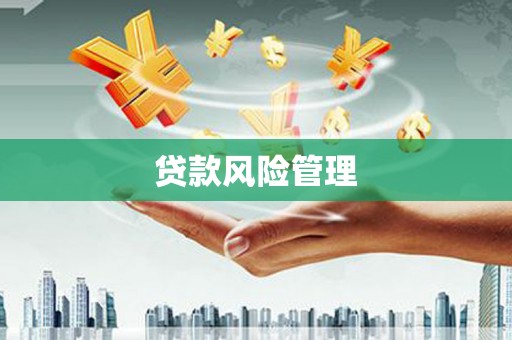 屯溪贷款风险管理