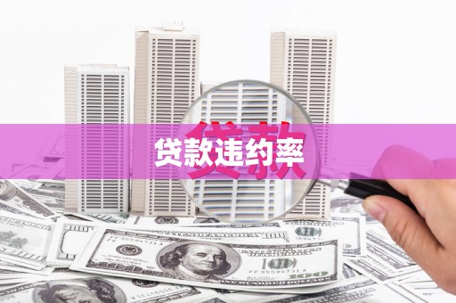 屯溪贷款违约率