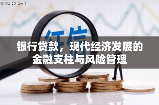 屯溪银行贷款，现代经济发展的金融支柱与风险管理