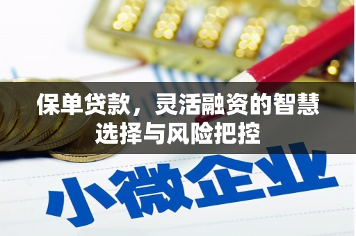 屯溪保单贷款，灵活融资的智慧选择与风险把控