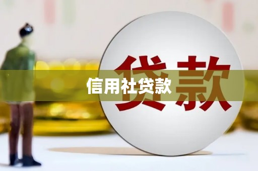 屯溪信用社贷款