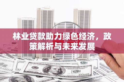 屯溪林业贷款助力绿色经济，政策解析与未来发展