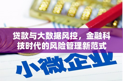 屯溪贷款与大数据风控，金融科技时代的风险管理新范式