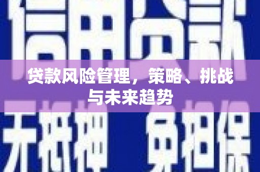 屯溪贷款风险管理，策略、挑战与未来趋势
