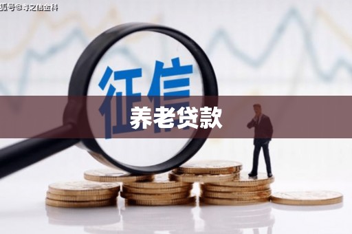 屯溪养老贷款