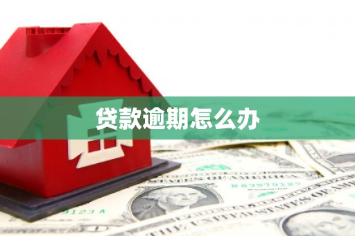 屯溪贷款逾期怎么办