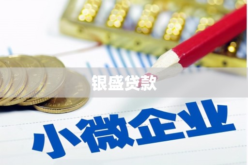 屯溪银盛贷款