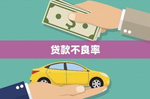 屯溪贷款不良率