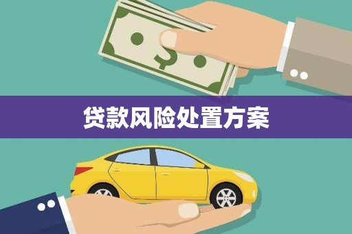 屯溪贷款风险处置方案