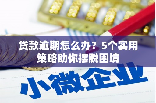 屯溪贷款逾期怎么办？5个实用策略助你摆脱困境