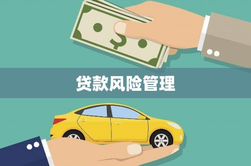 屯溪贷款风险管理