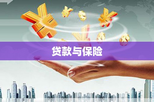 屯溪贷款与保险