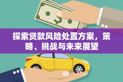 屯溪探索贷款风险处置方案，策略、挑战与未来展望