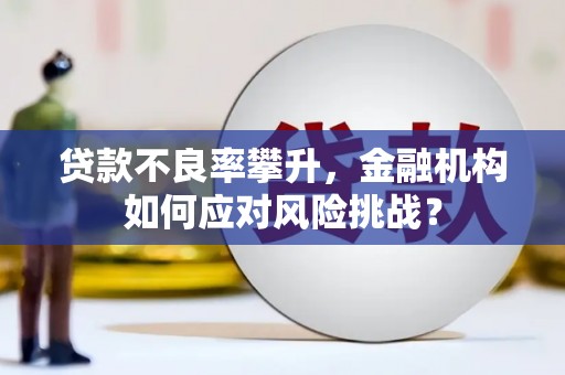 屯溪贷款不良率攀升，金融机构如何应对风险挑战？