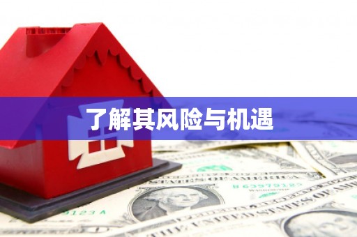 屯溪了解其风险与机遇