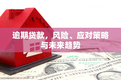 屯溪逾期贷款，风险、应对策略与未来趋势
