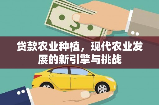 屯溪贷款农业种植，现代农业发展的新引擎与挑战