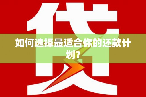 屯溪如何选择最适合你的还款计划？