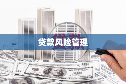 屯溪贷款风险管理