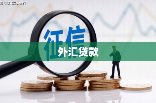 屯溪外汇贷款