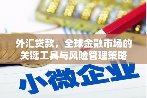 屯溪外汇贷款，全球金融市场的关键工具与风险管理策略