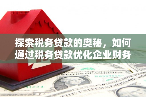 屯溪探索税务贷款的奥秘，如何通过税务贷款优化企业财务