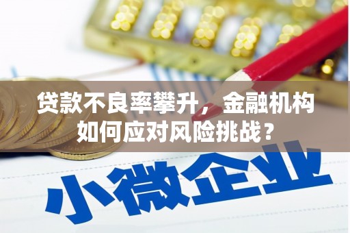 屯溪贷款不良率攀升，金融机构如何应对风险挑战？