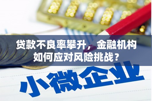屯溪贷款不良率攀升，金融机构如何应对风险挑战？