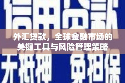 屯溪外汇贷款，全球金融市场的关键工具与风险管理策略