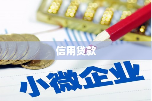 屯溪信用贷款