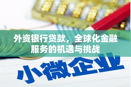 屯溪外资银行贷款，全球化金融服务的机遇与挑战