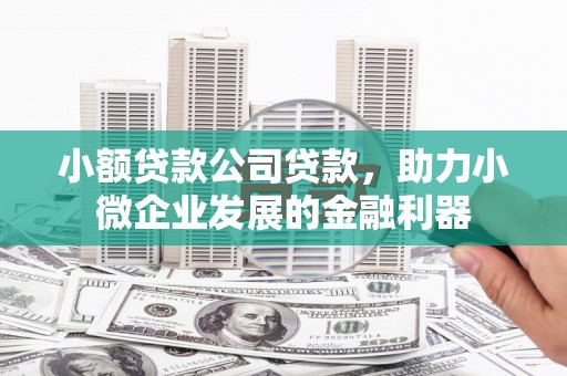 屯溪小额贷款公司贷款，助力小微企业发展的金融利器