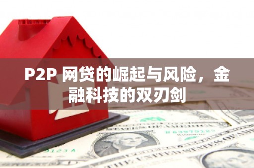 屯溪P2P 网贷的崛起与风险，金融科技的双刃剑