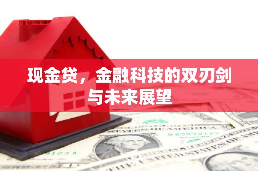 屯溪现金贷，金融科技的双刃剑与未来展望