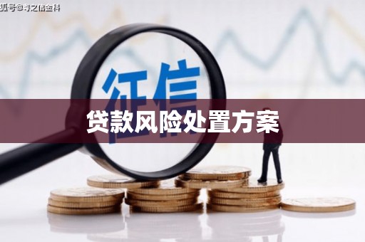 屯溪贷款风险处置方案