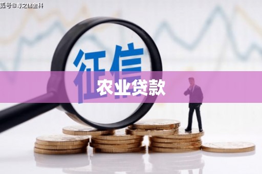 屯溪农业贷款