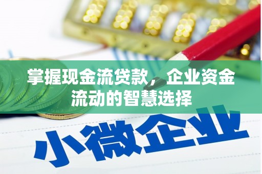 屯溪掌握现金流贷款，企业资金流动的智慧选择