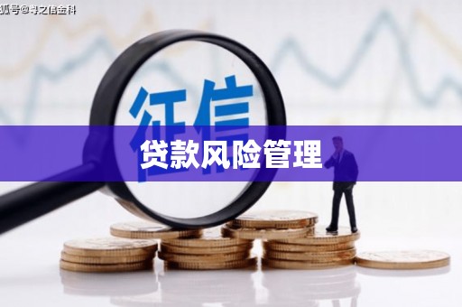 屯溪贷款风险管理