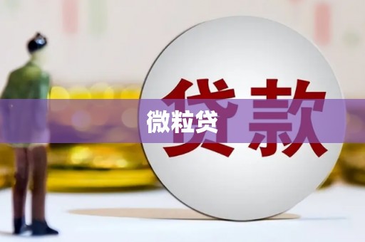 屯溪微粒贷