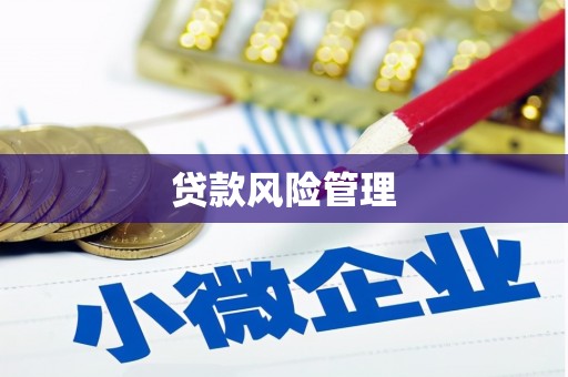 屯溪贷款风险管理